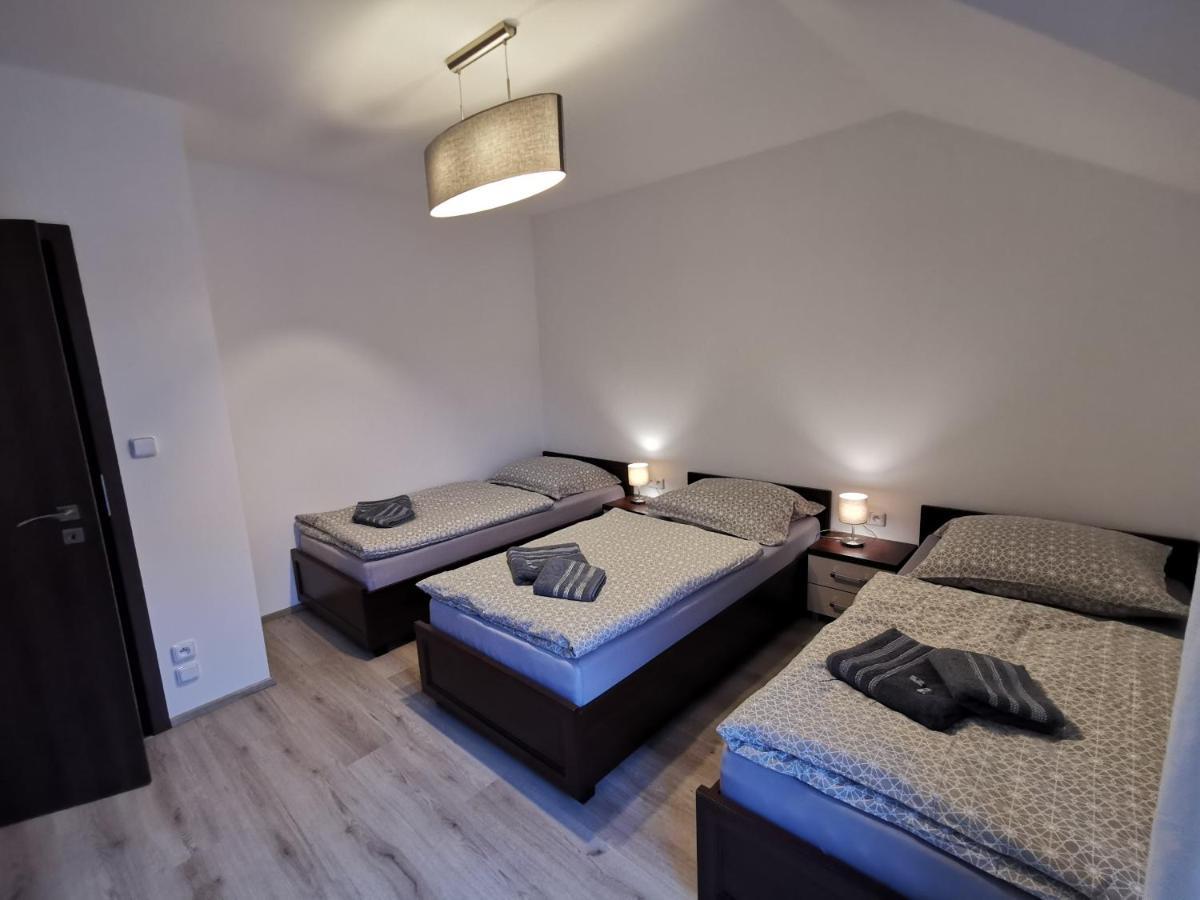 Appartement Apartman 5 Klinovec à Loučná pod Klínovcem Extérieur photo