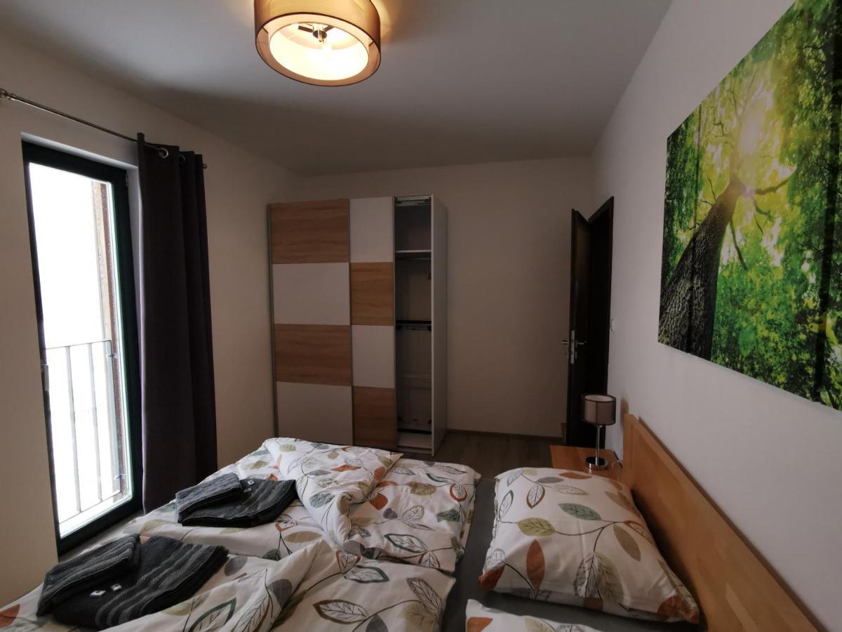 Appartement Apartman 5 Klinovec à Loučná pod Klínovcem Extérieur photo