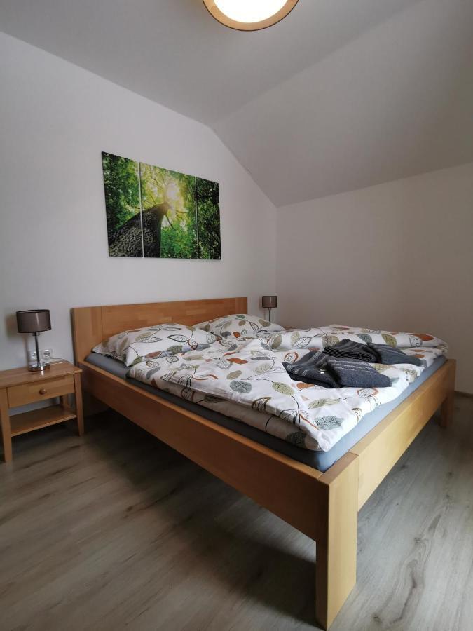 Appartement Apartman 5 Klinovec à Loučná pod Klínovcem Extérieur photo