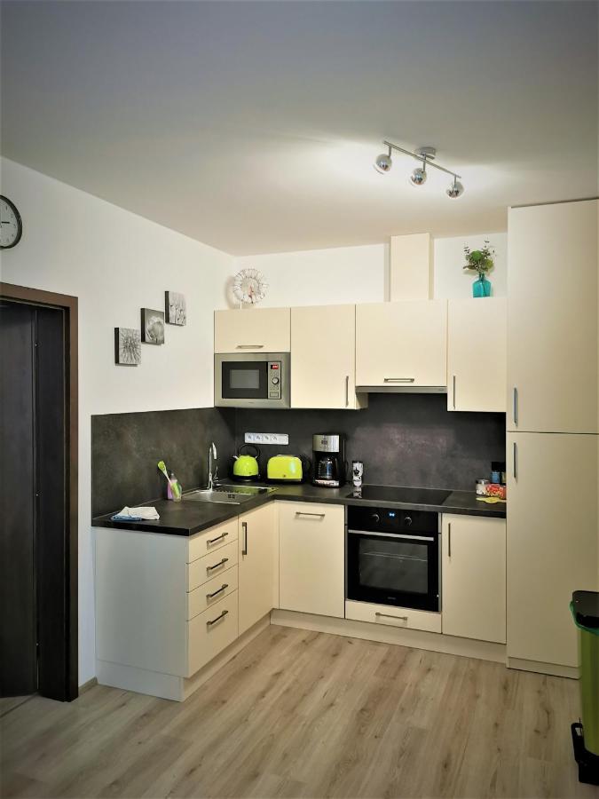 Appartement Apartman 5 Klinovec à Loučná pod Klínovcem Extérieur photo